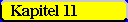 Kapitel 11